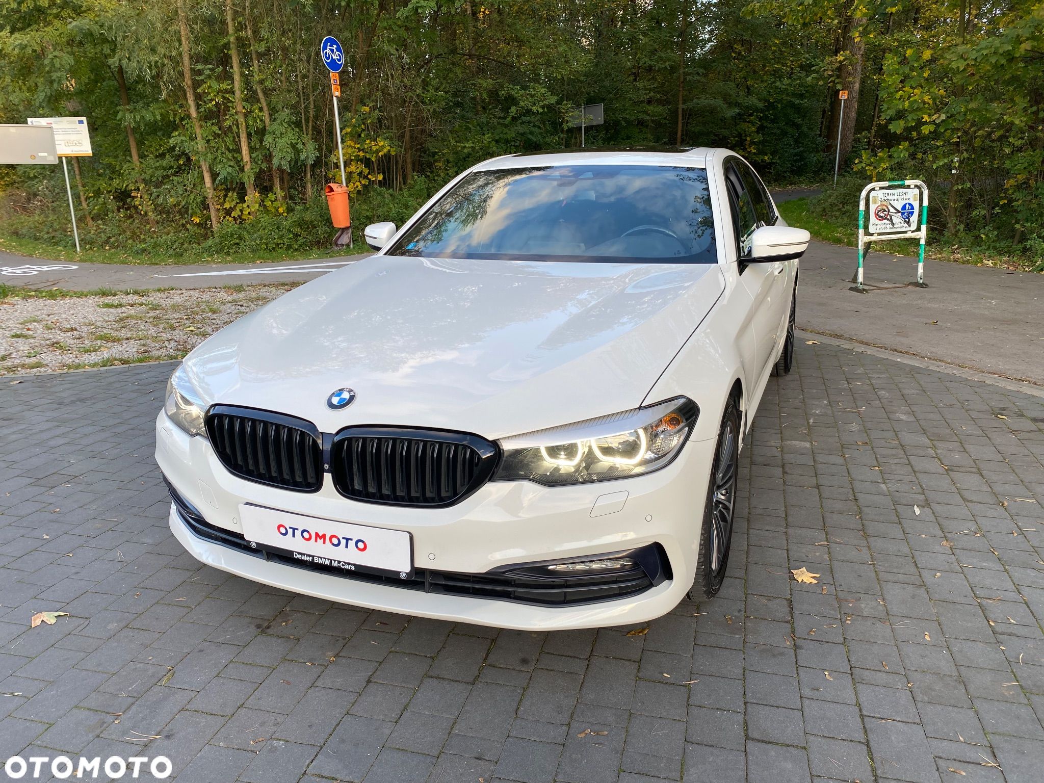 BMW Seria 5 520d xDrive Sport Line sport - 1