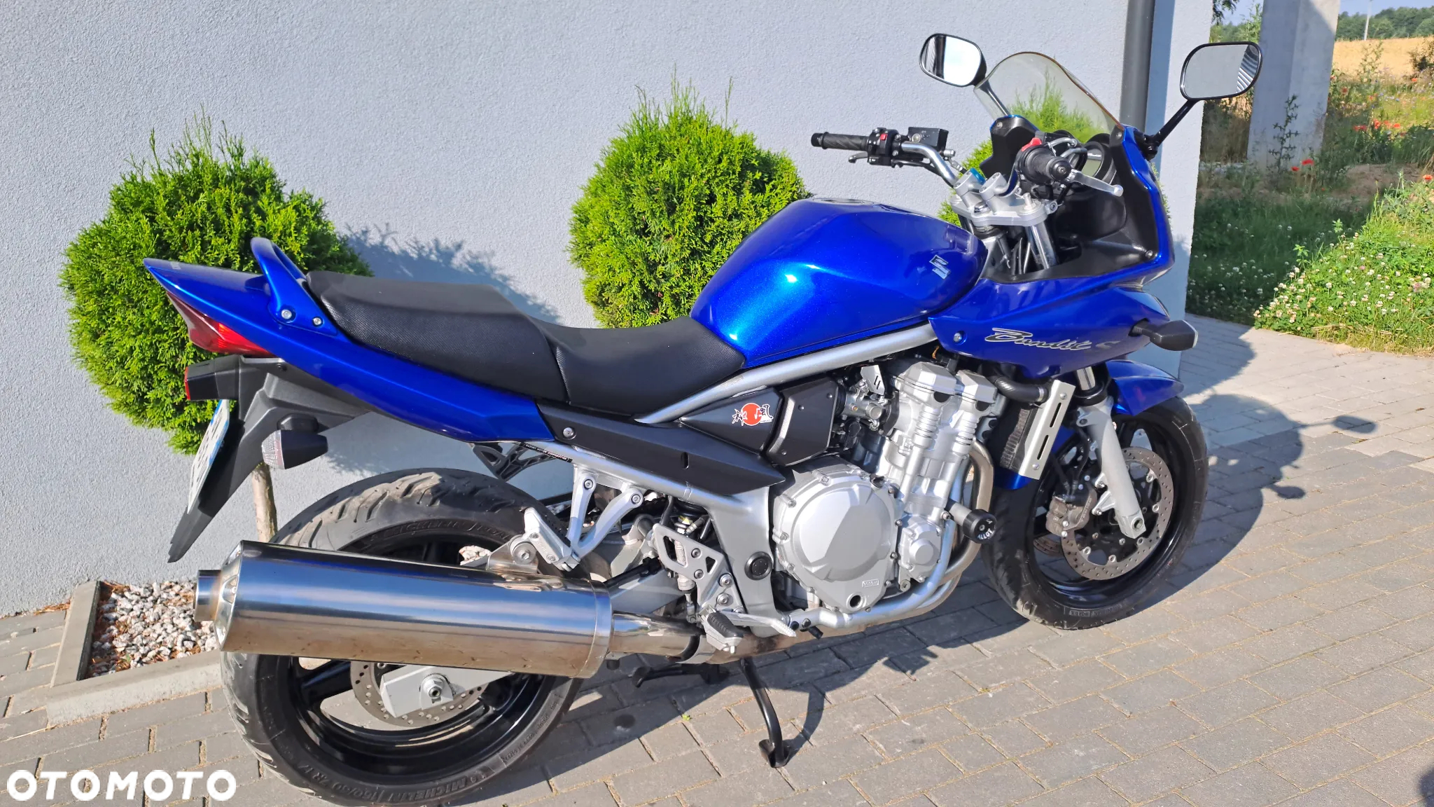 Suzuki Bandit - 3
