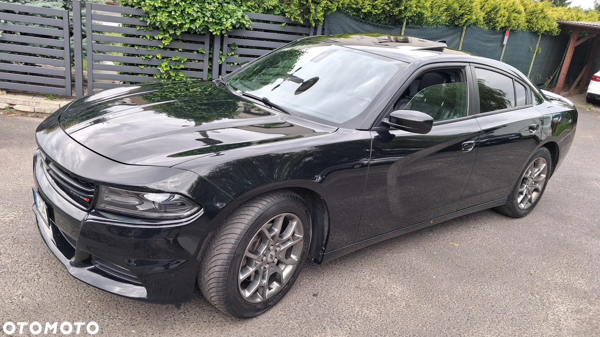 Dodge Charger Automatik Rally - 2