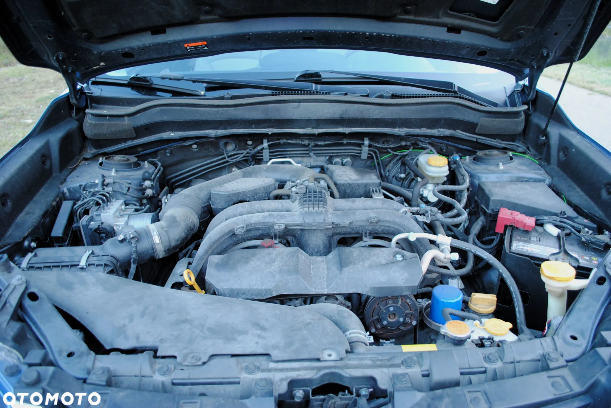 Subaru Forester - 13