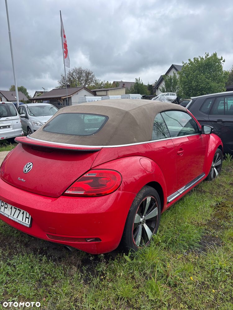 Volkswagen Beetle - 4