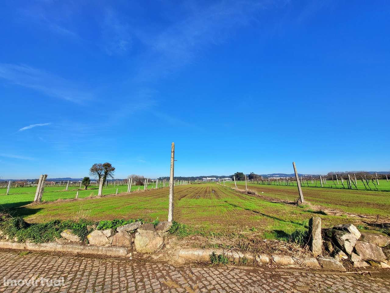 Terreno  Venda em Bougado (São Martinho e Santiago),Trofa - Grande imagem: 2/8