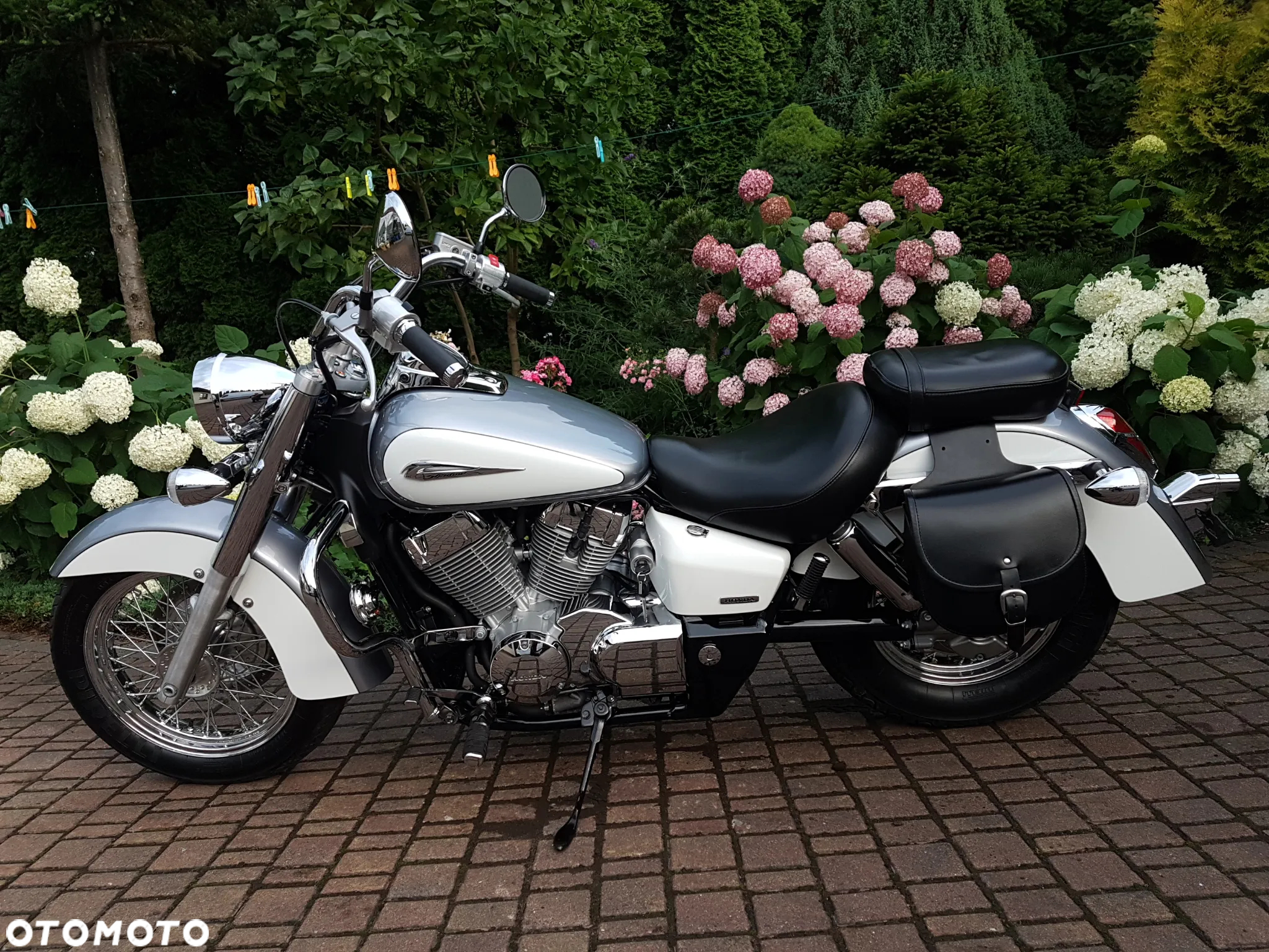 Honda Shadow - 7