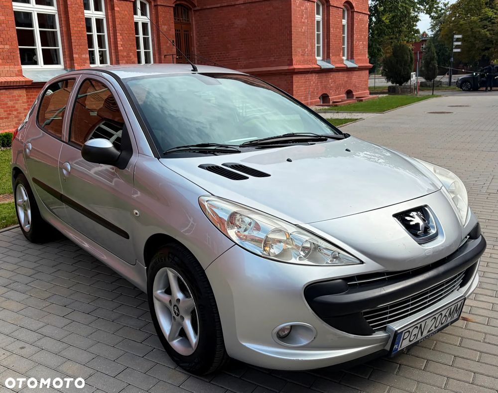Peugeot 206 - 31