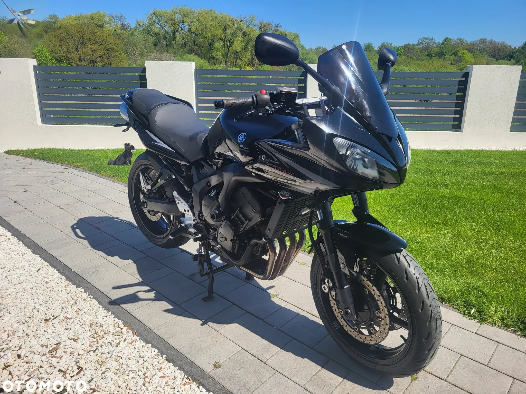 Yamaha FZ6 - 9