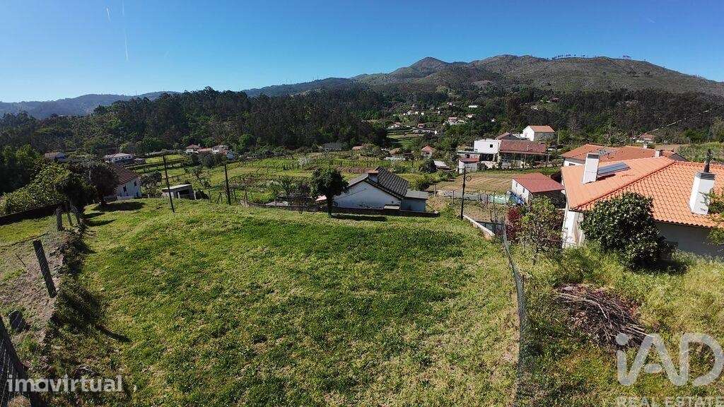 Terreno Agrícola em Rebordões (Santa Maria) - Grande imagem: 5/5