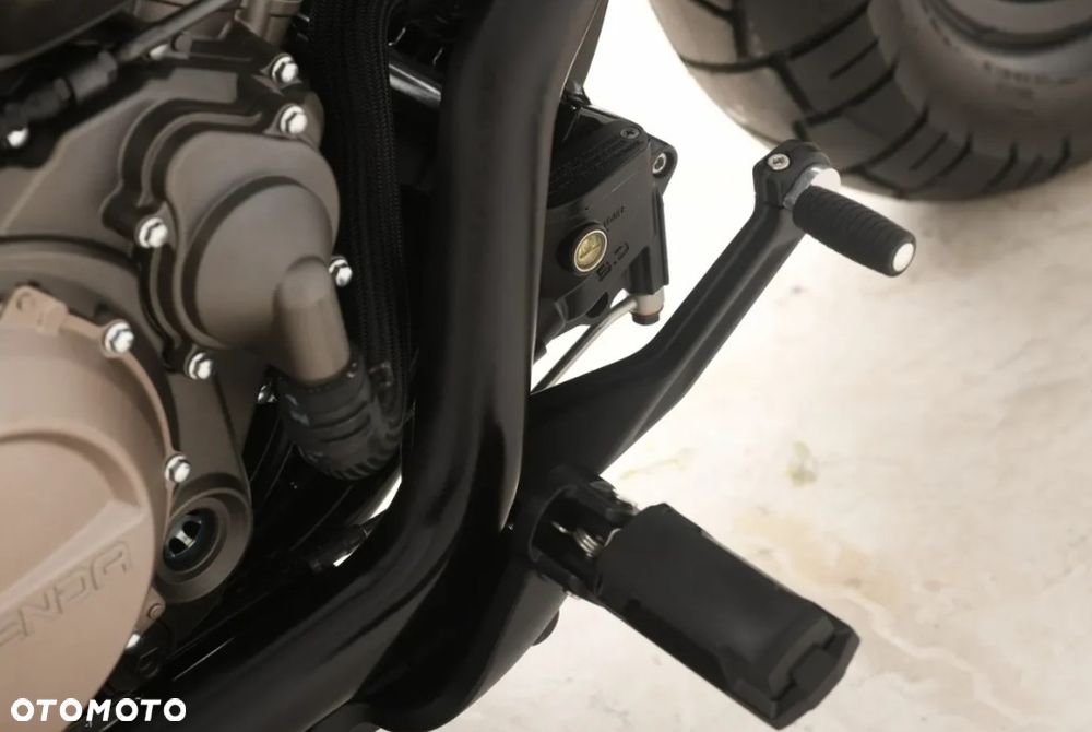 Benda Chinchilla 500 - 14