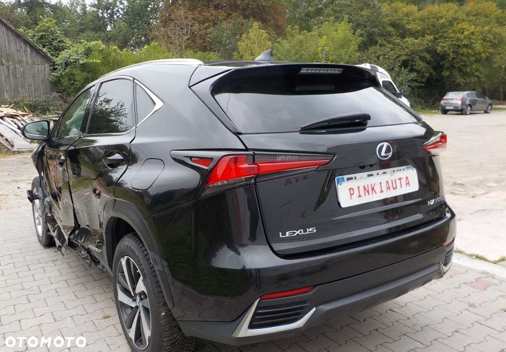 Lexus NX - 13