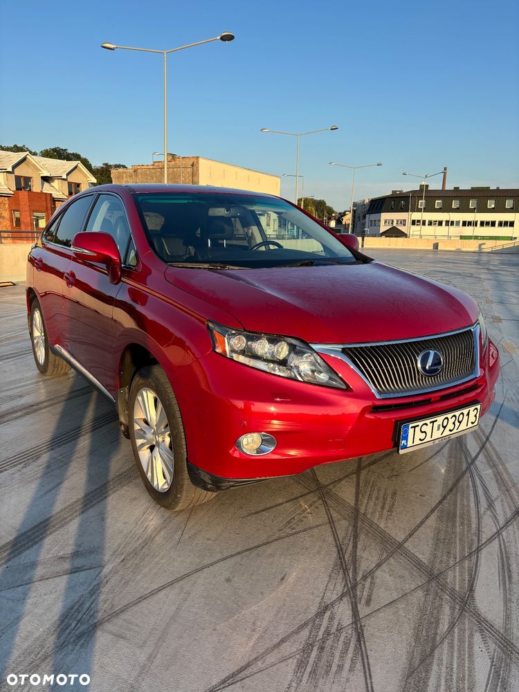 Lexus RX - 8