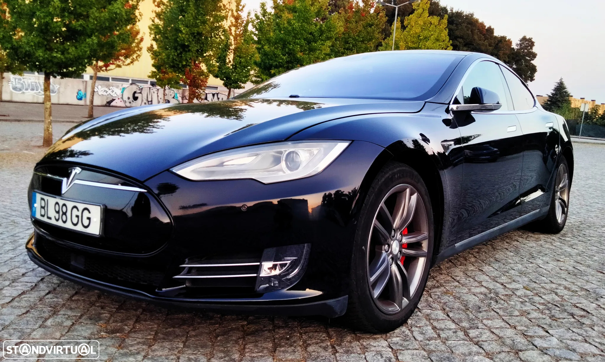 Tesla Model S P85D - 22