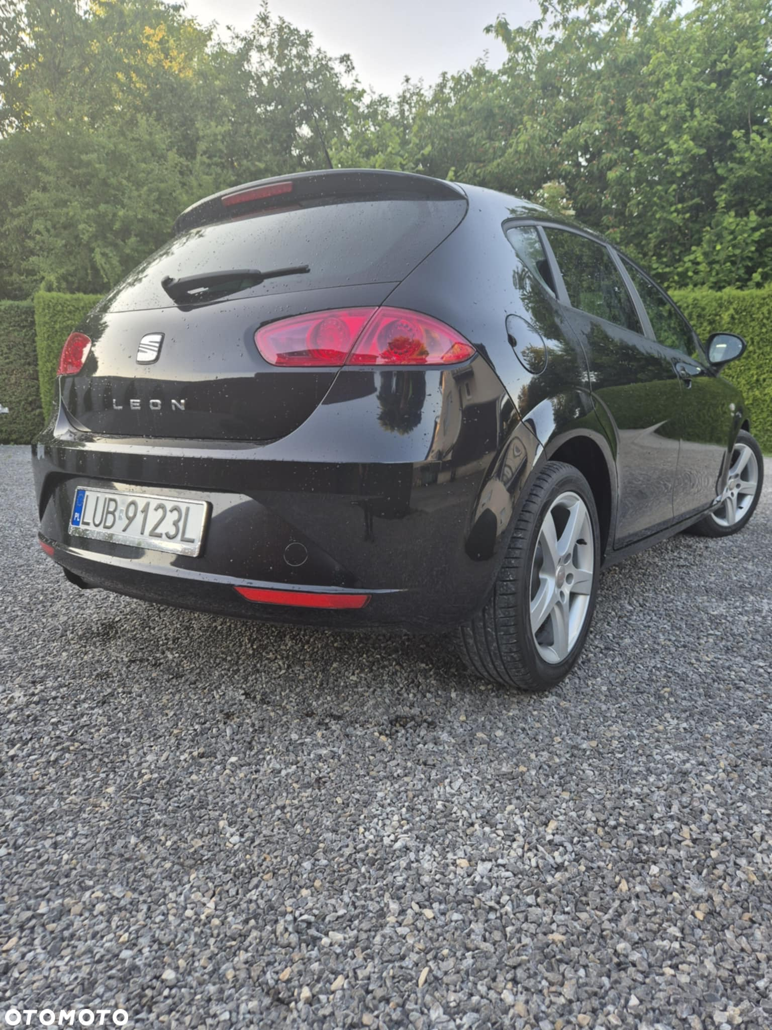 Seat Leon - 10
