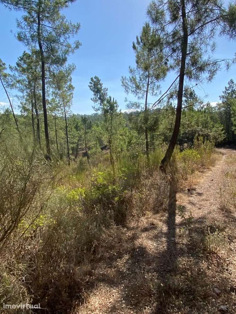 Terreno - Grande imagem: 4/9