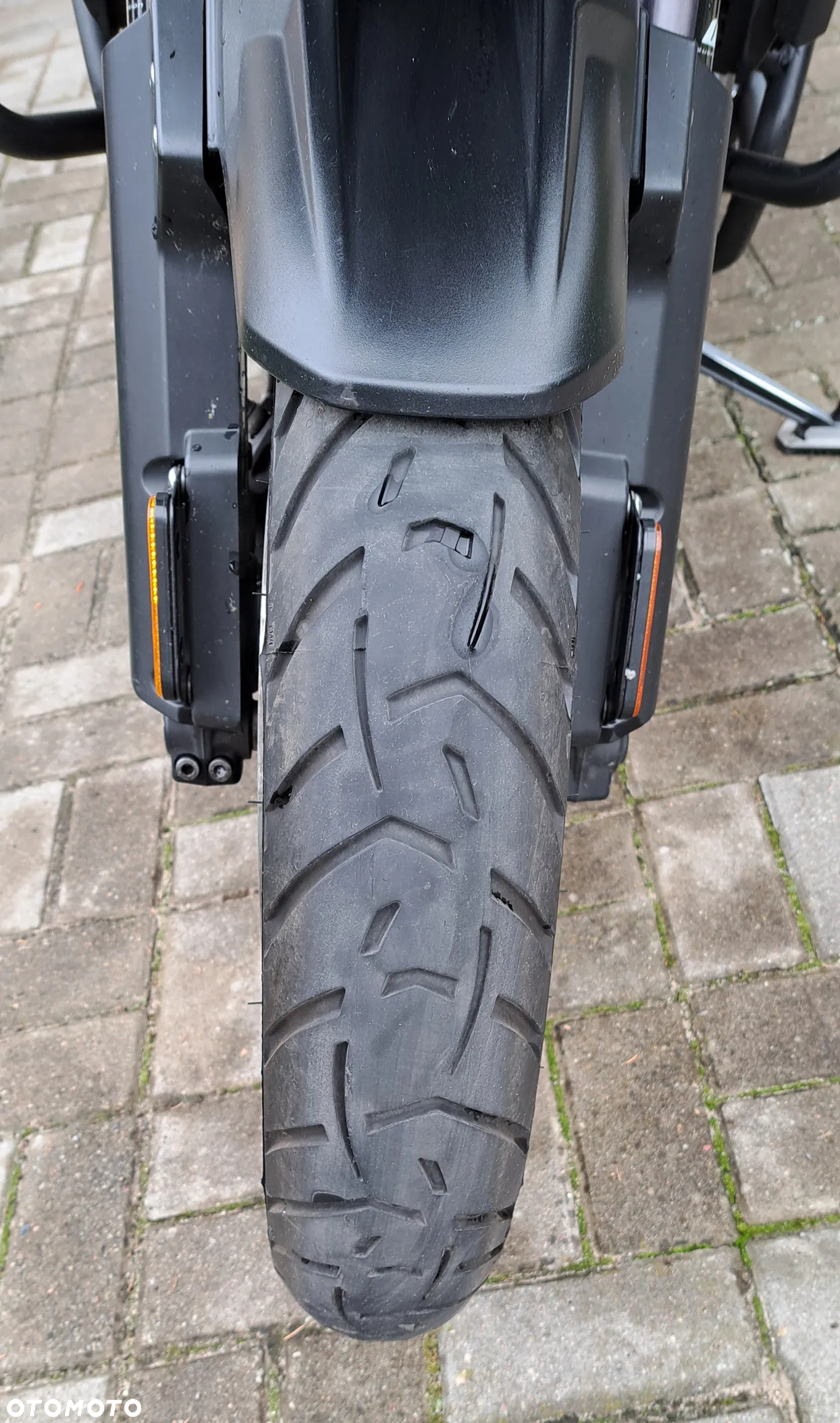 Triumph Tiger - 11