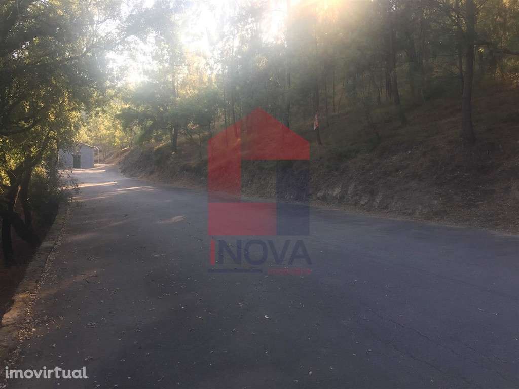 Terreno, Escariz S. Mamede - Grande imagem: 2/2