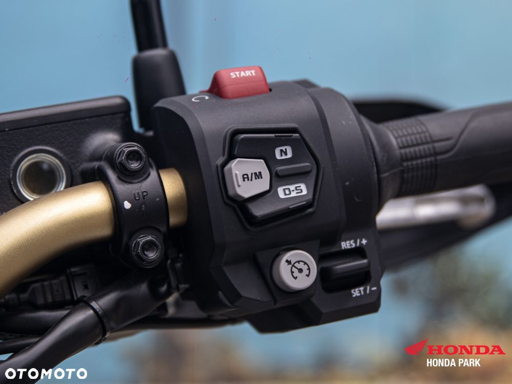 Honda CRF - 10