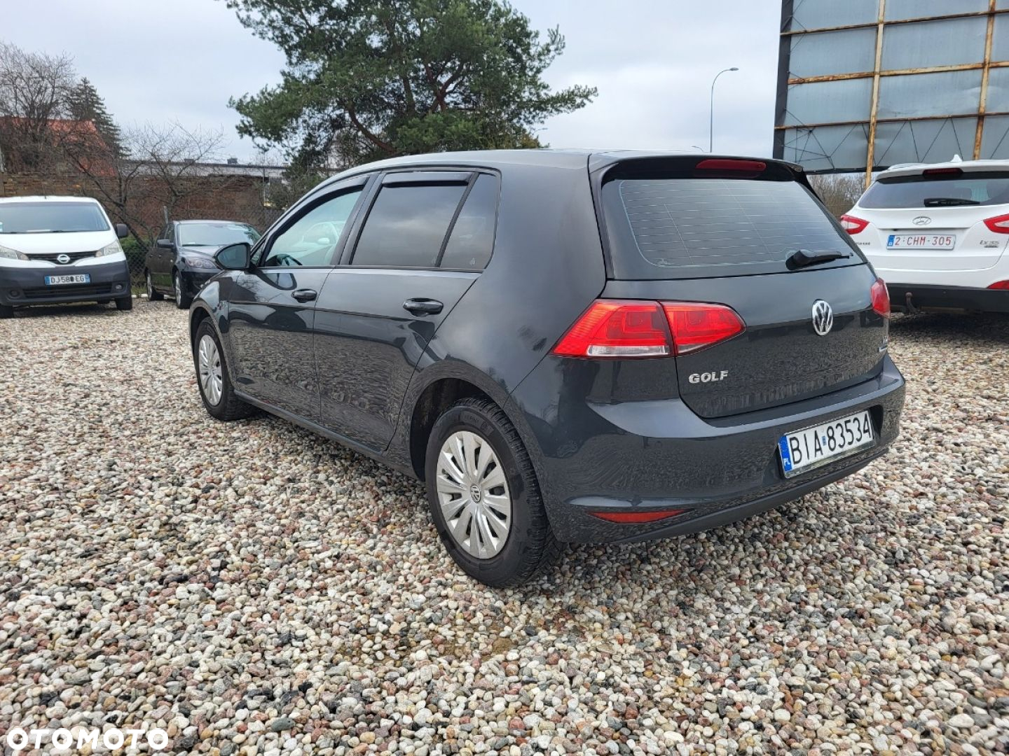 Volkswagen Golf - 6