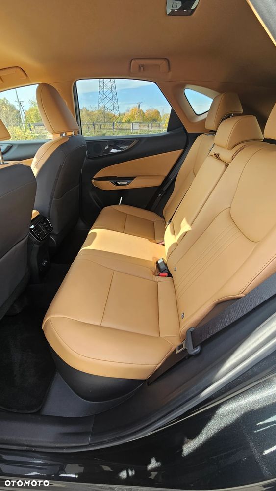 Lexus NX - 8