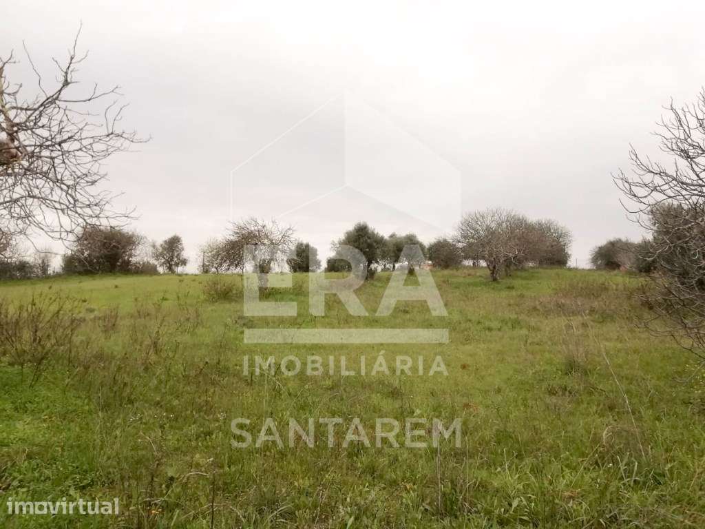 Terreno com 4920m2 para Construção de Moradia - Grande imagem: 2/4