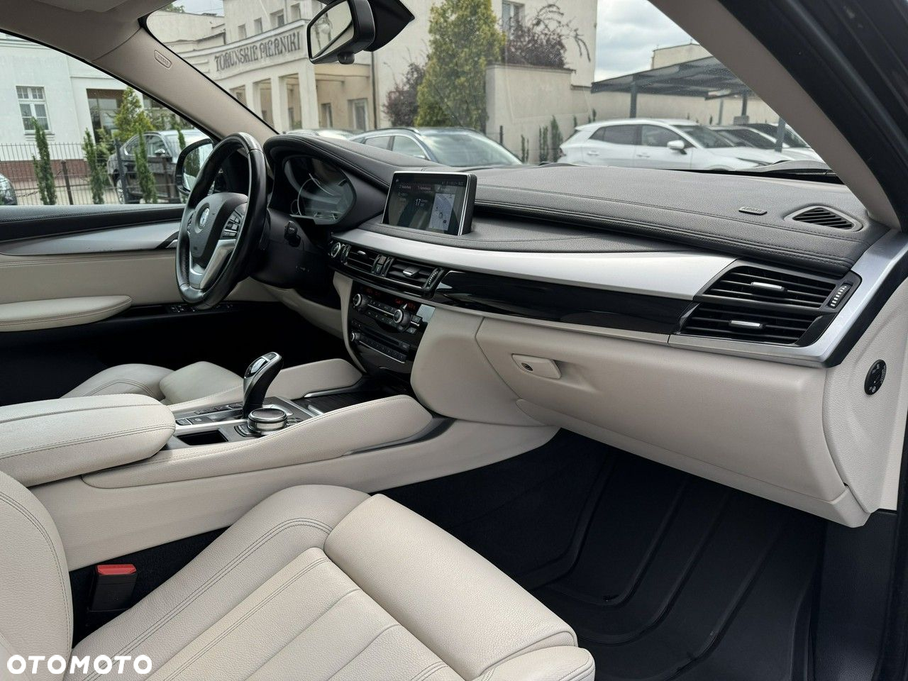 BMW X6 xDrive30d - 21