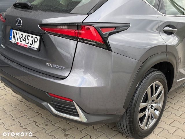 Lexus NX - 10