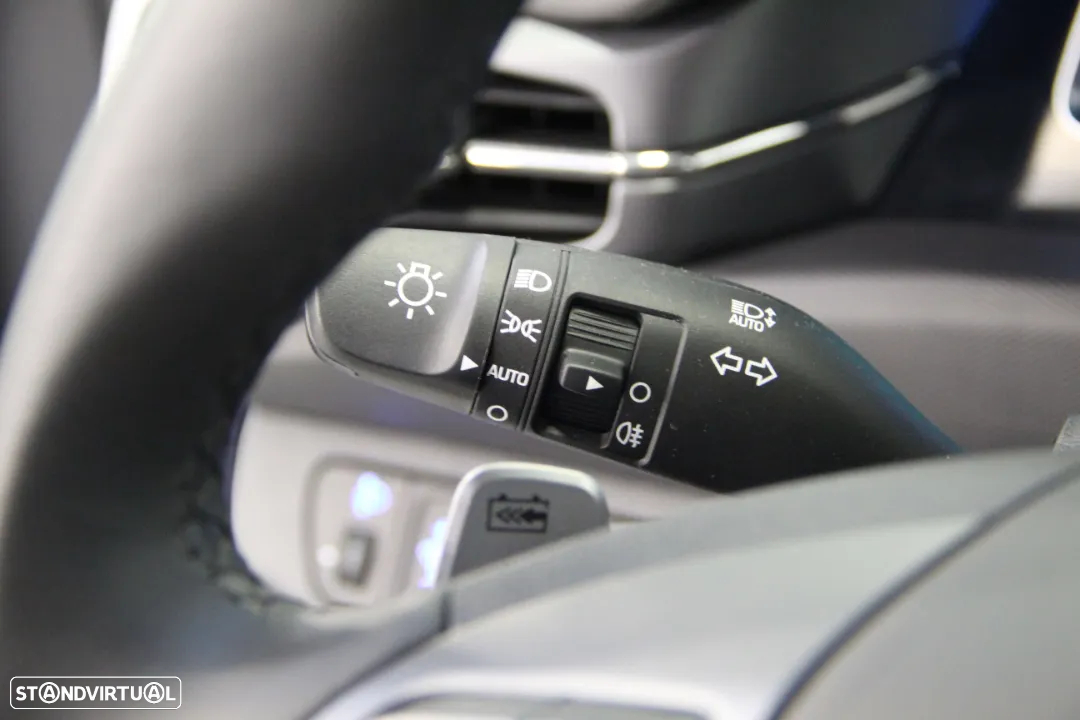 Hyundai Ioniq EV 38kWh - 14