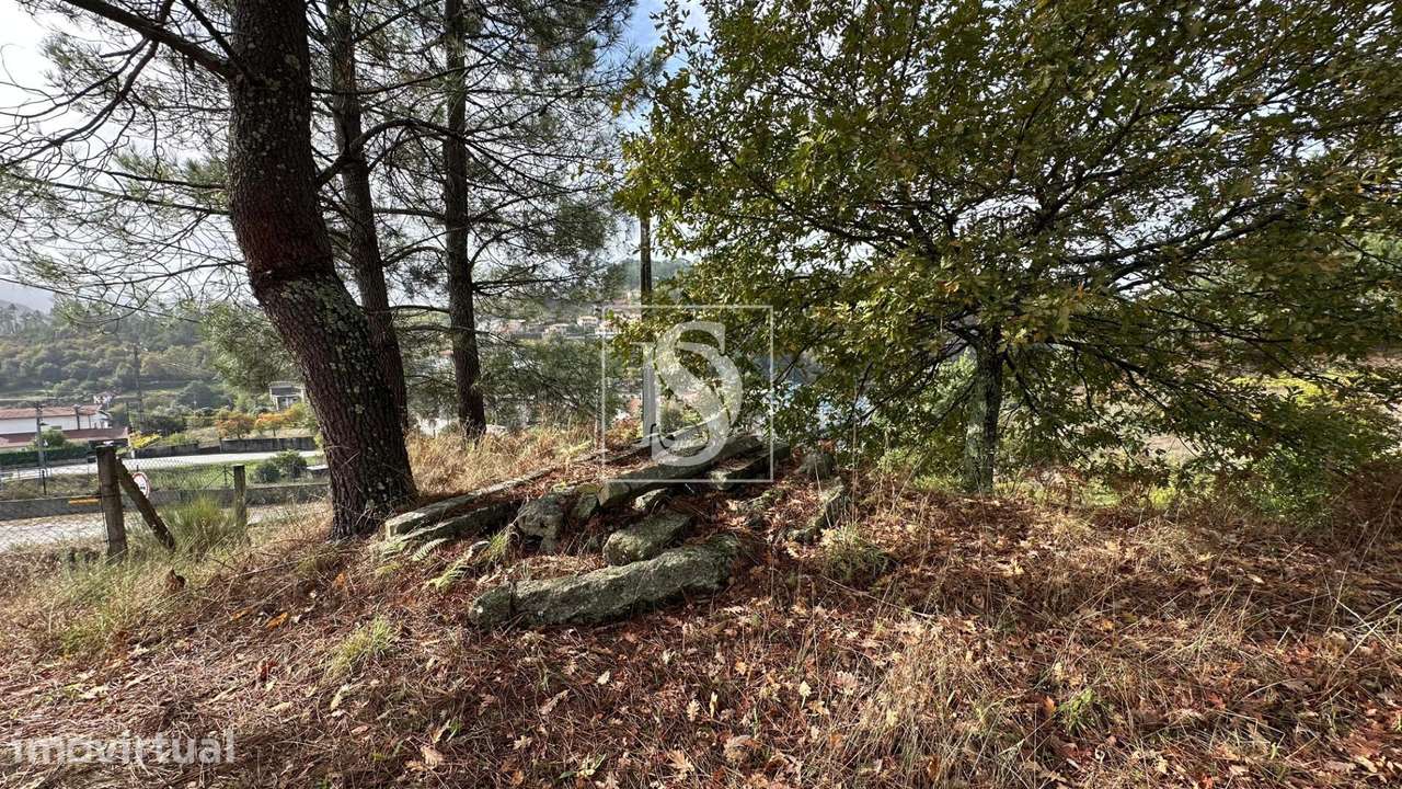 Terreno  Venda em Padronelo,Amarante - Grande imagem: 3/15