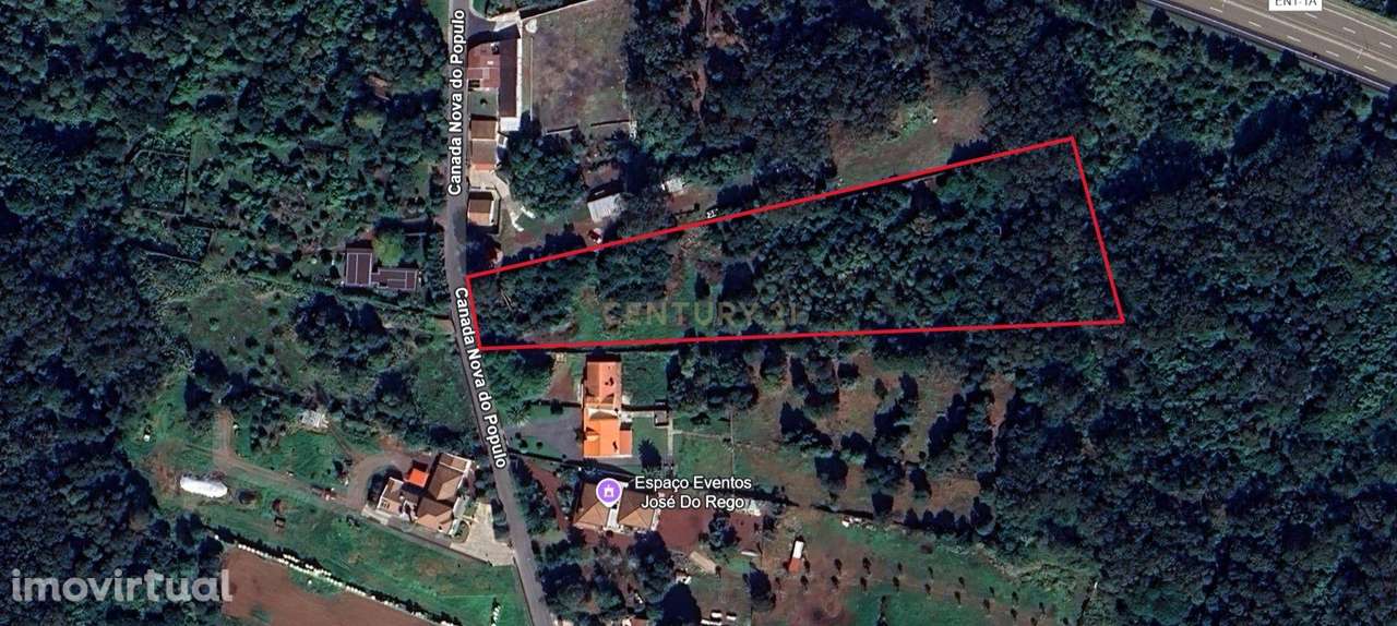 Terreno, 7 920 m², Rosto de Cão (Livramento) - Grande imagem: 3/11