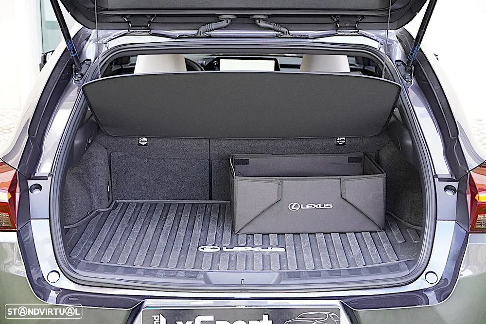 Lexus UX 250h F Sport - 16