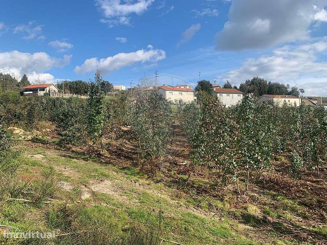 Terreno  para venda - Grande imagem: 2/11