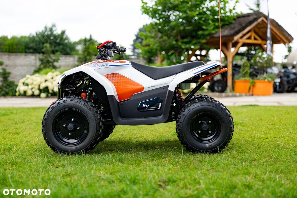 CFMoto CForce - 30