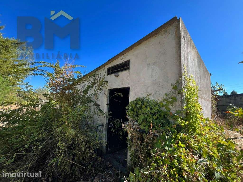 Quinta com 15.500m2 para venda próxima à vila de Alcains! - Grande imagem: 3/28
