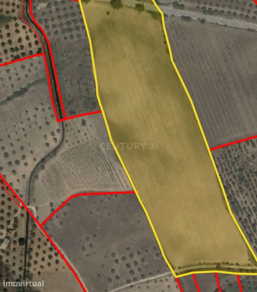 Terreno Rústico com 3,8HA em Ladoeiro, Idanha-a-Nova - Grande imagem: 4/5