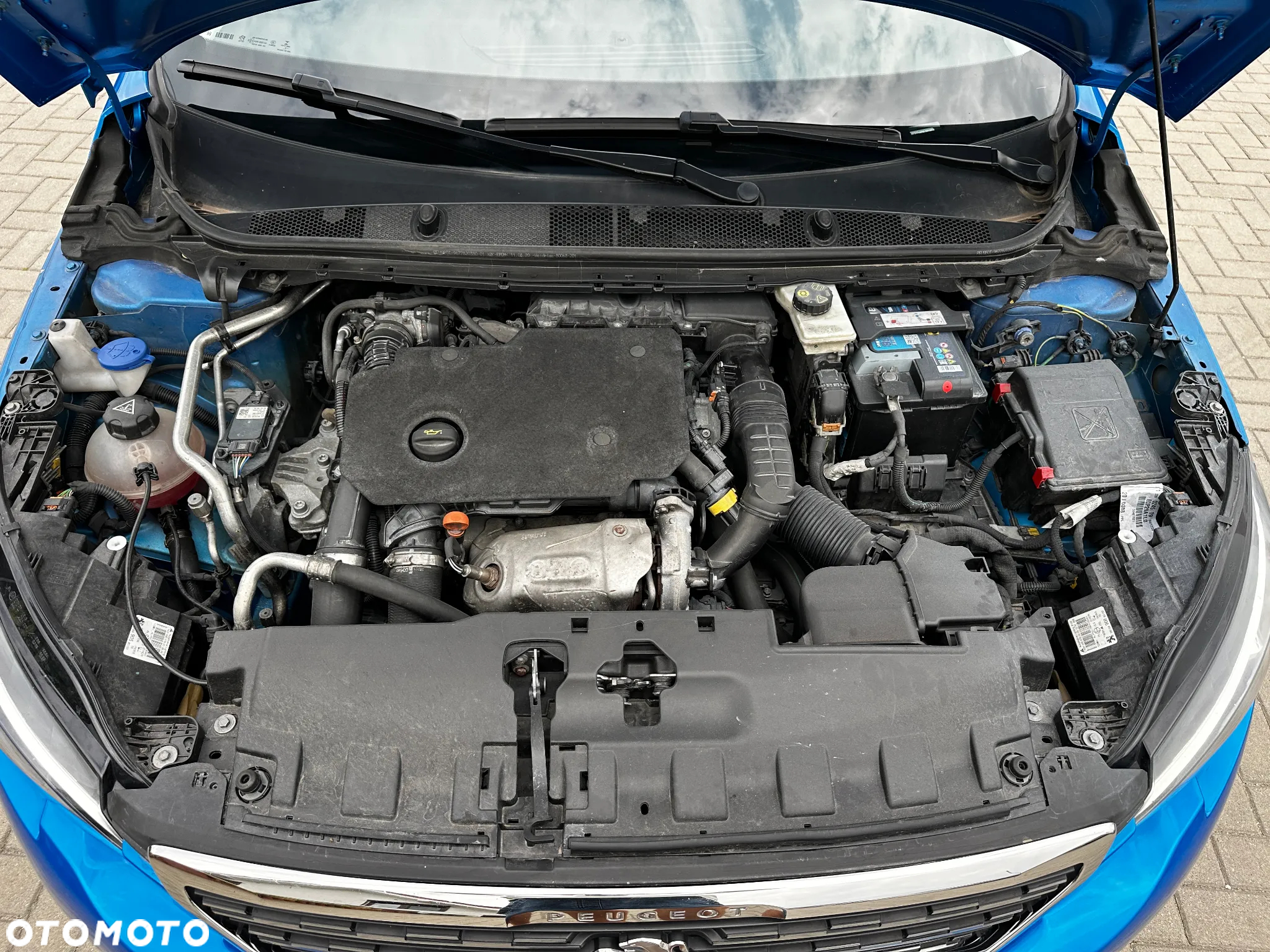 Peugeot 308 - 31