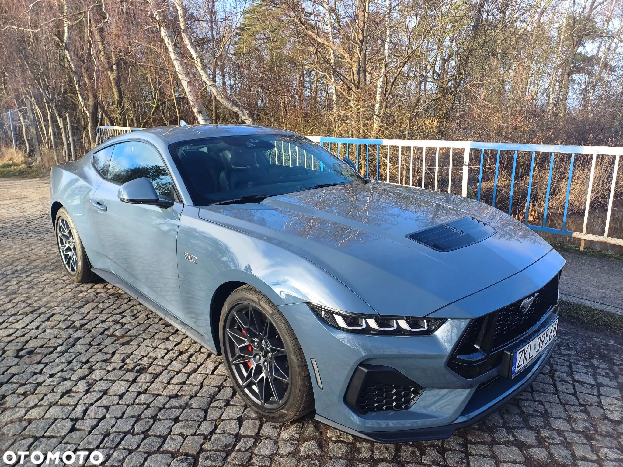 Ford Mustang 5.0 V8 GT - 1