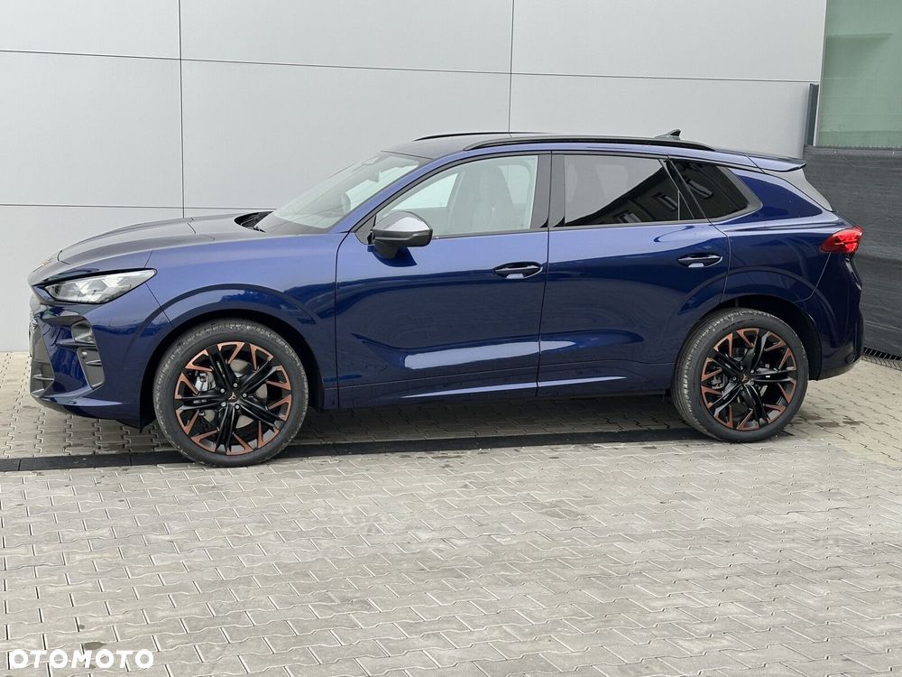 Cupra Terramar 2.0 TSI 4Drive DSG - 8