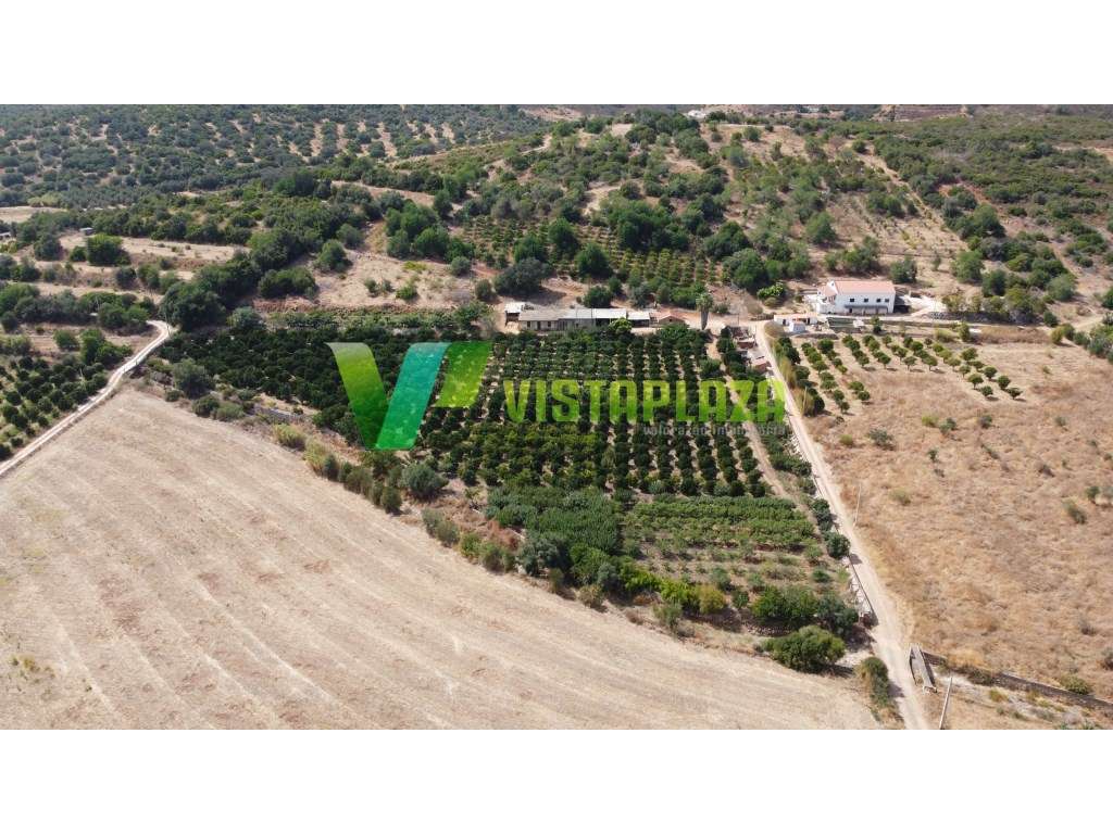 Terreno Misto com Ruínas Legalizadas em Mexilhoeira Grande - Grande imagem: 3/24