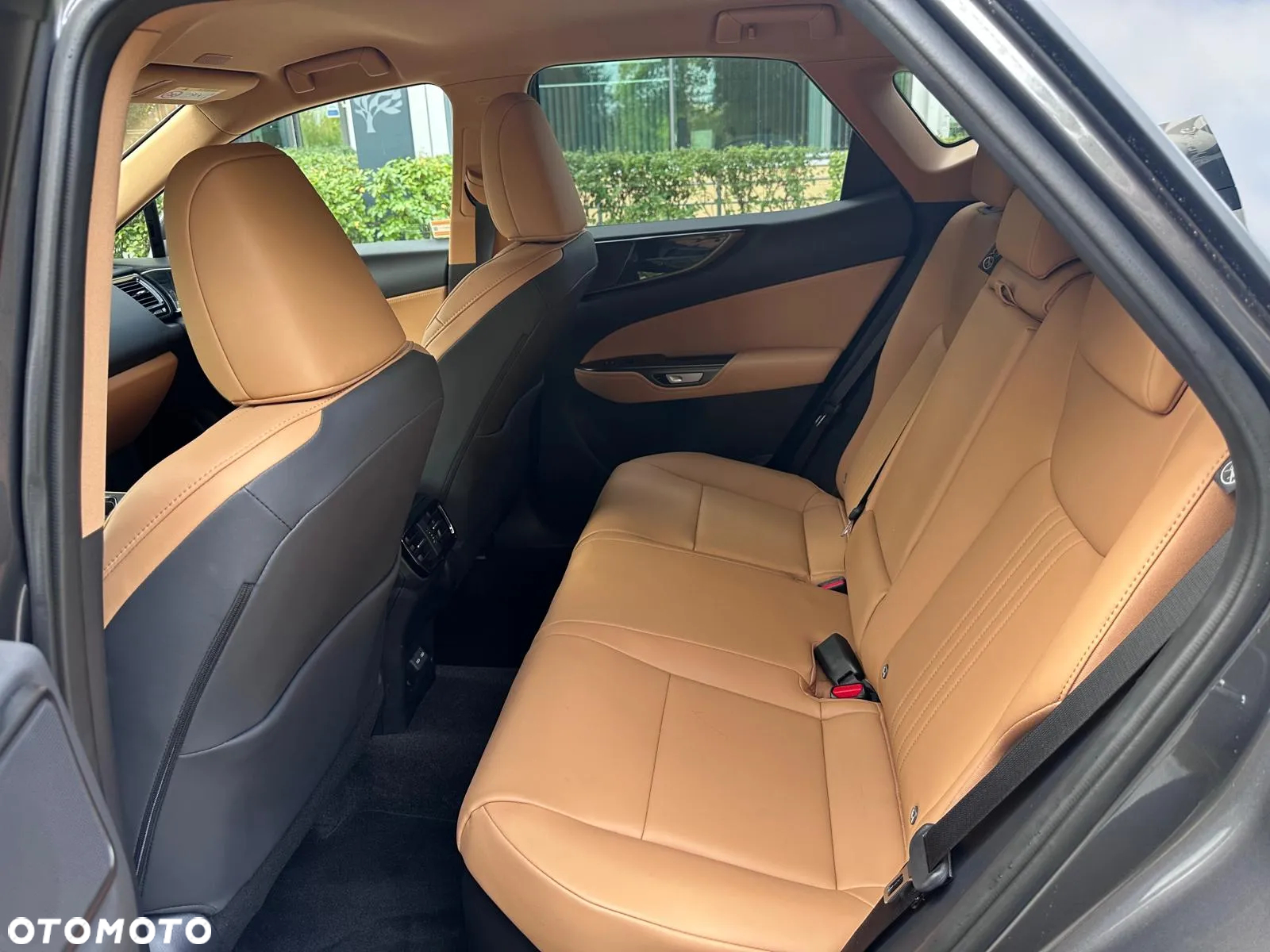 Lexus NX 350h Prestige 2WD - 23