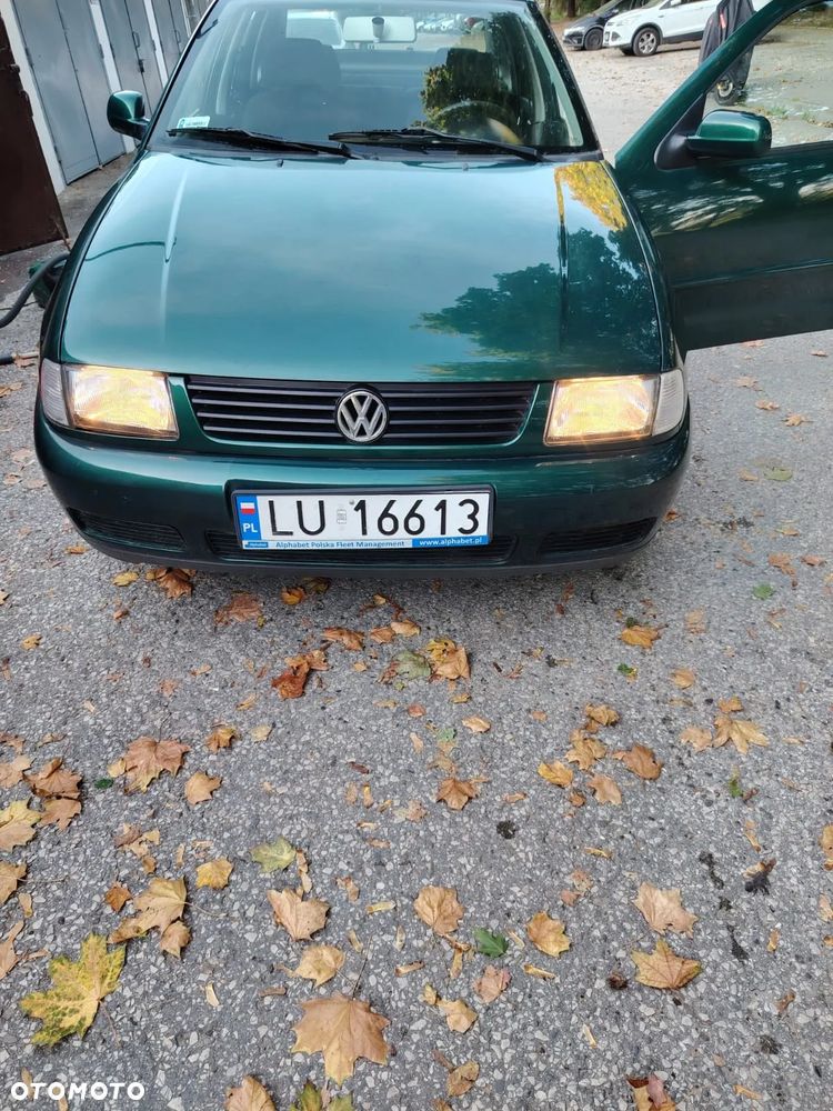 Volkswagen Polo - 2