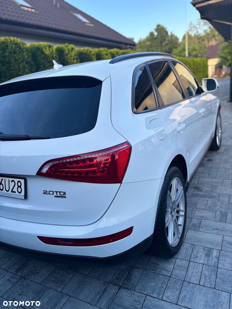 Audi Q5 2009 photo 3