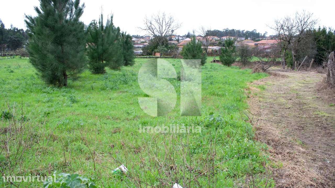 Terreno Urbanizável com 8270 m2 em Vila Verde, Oliveira do Bairro - Grande imagem: 2/10