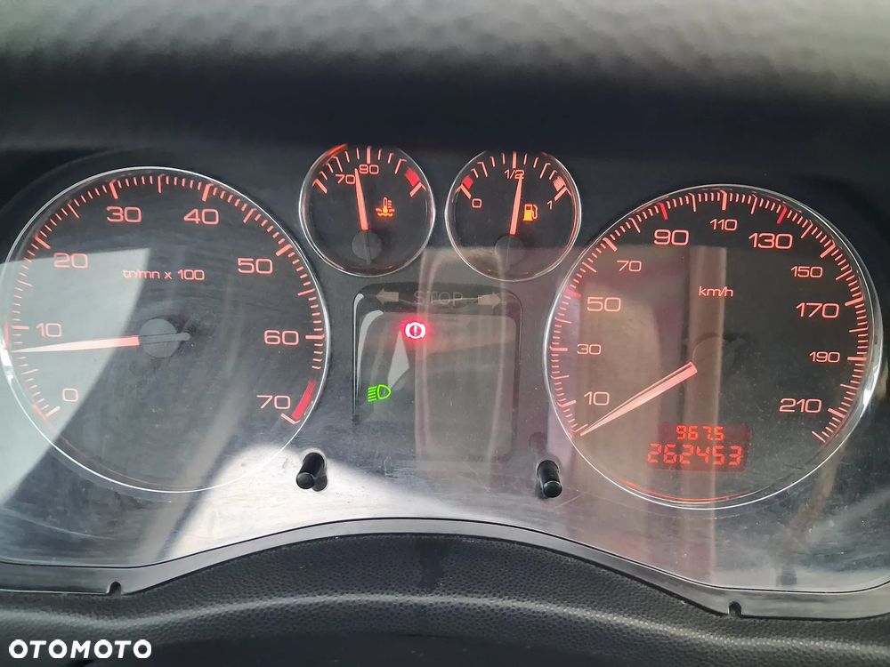 Peugeot 307 1.6 XS - 11