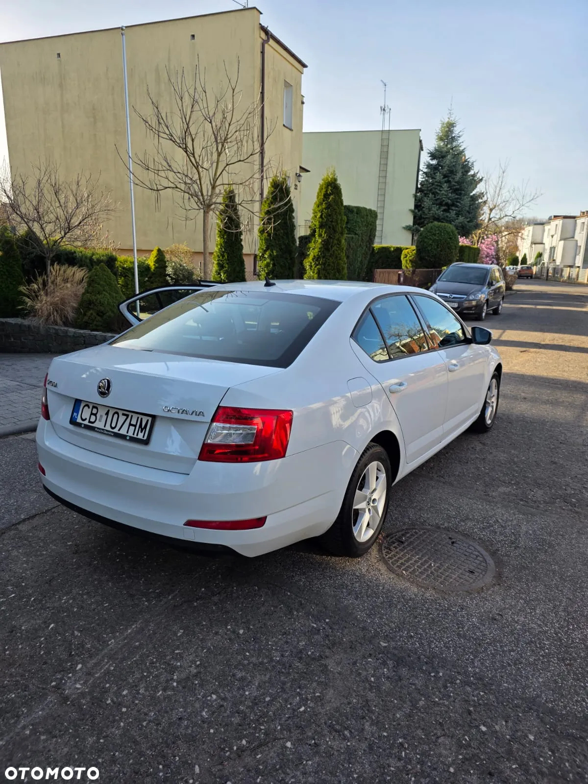 Skoda Octavia 1.4 TSI Ambition - 19