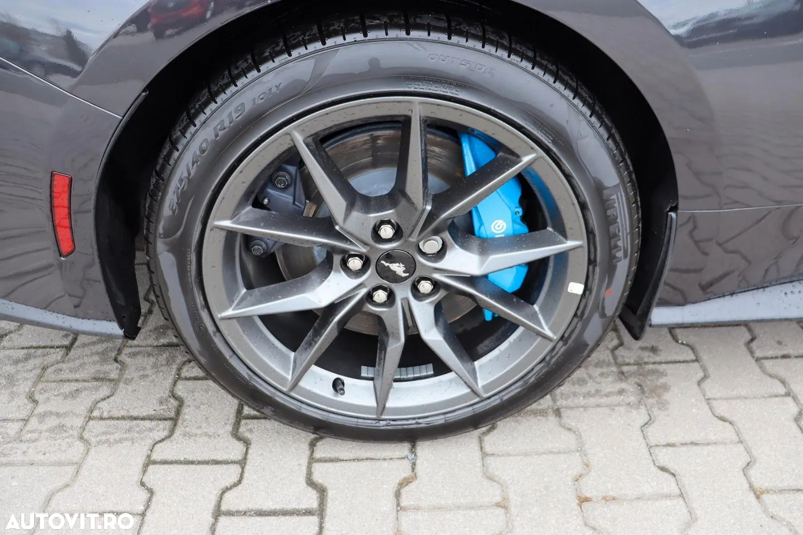 Ford Mustang 5.0 V8 Aut. Dark Horse - 8
