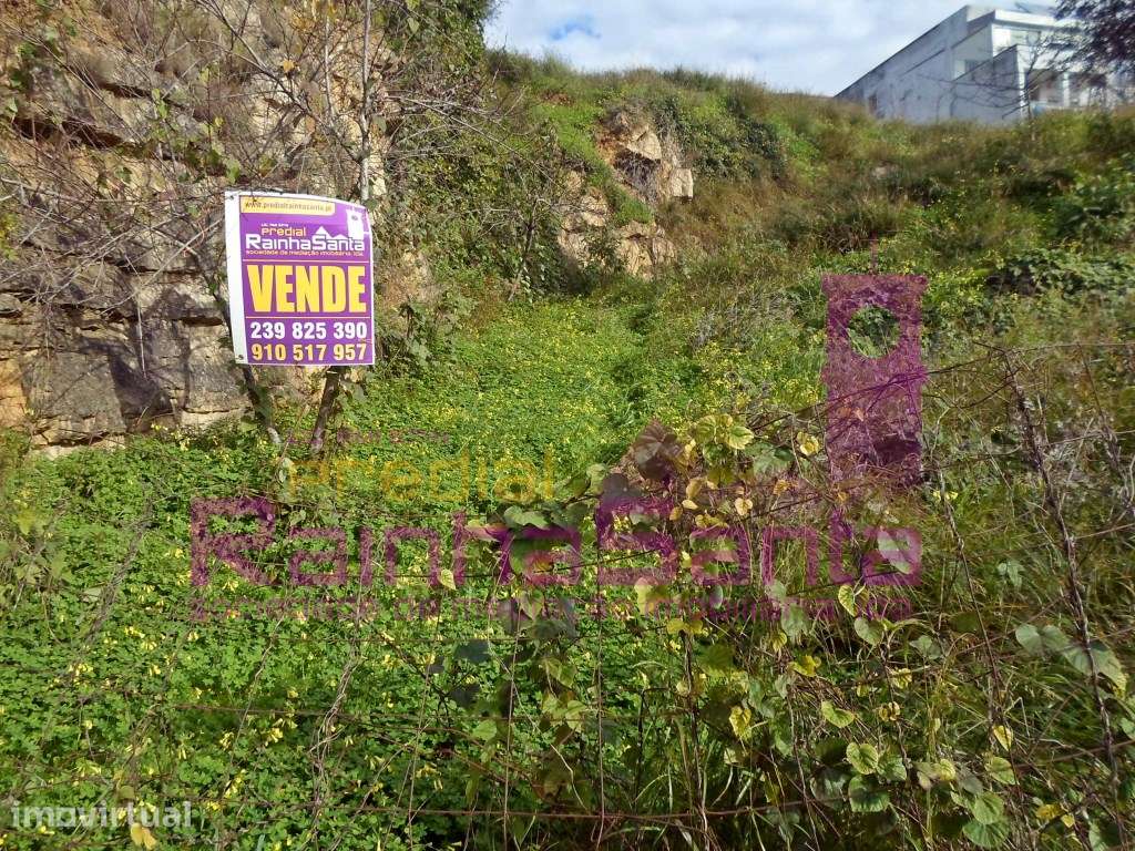 Terreno c/ viabilidade de construção - Santa Clara - Coimbra - Grande imagem: 3/3
