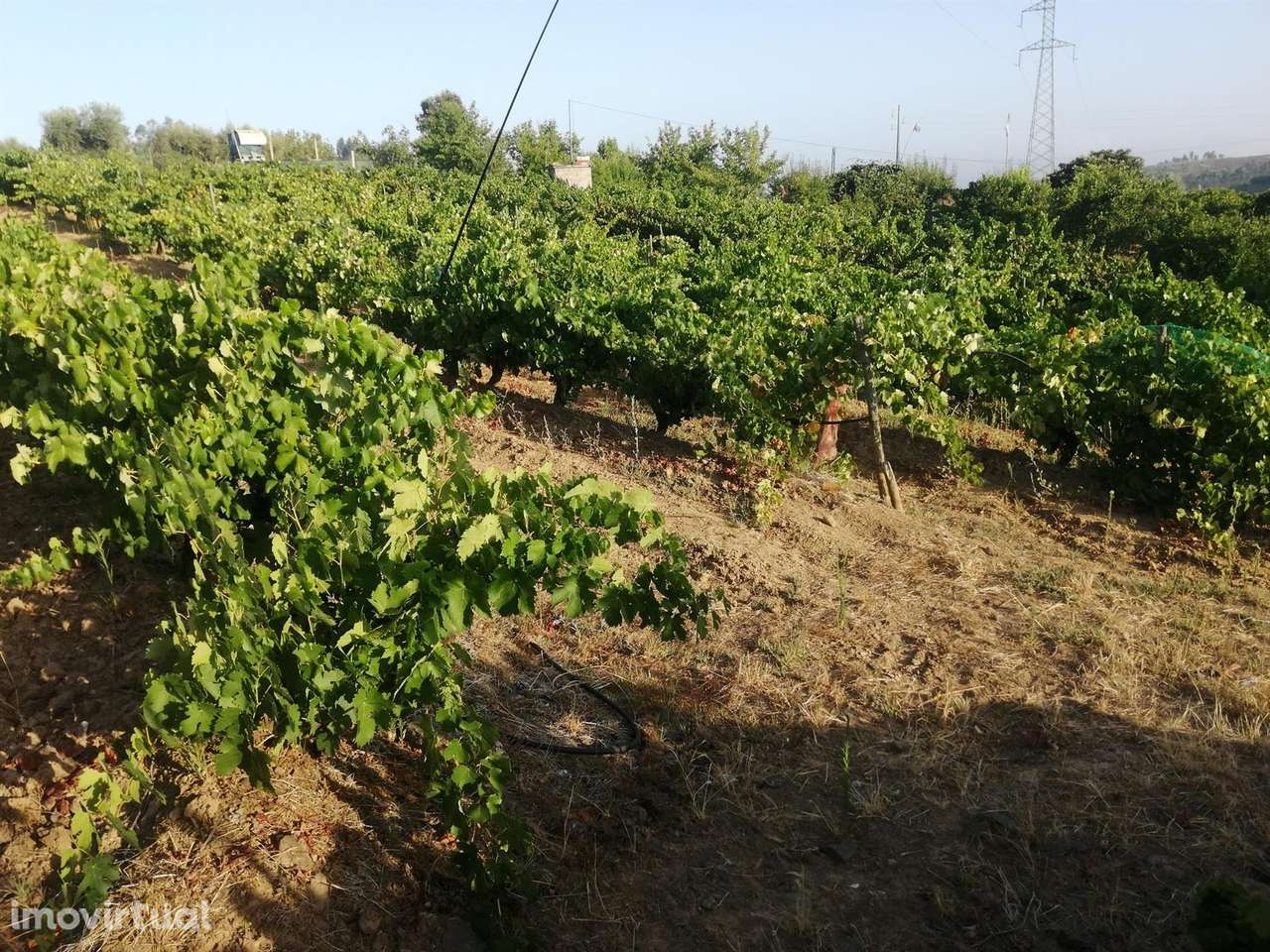 Quinta - Grande imagem: 4/7