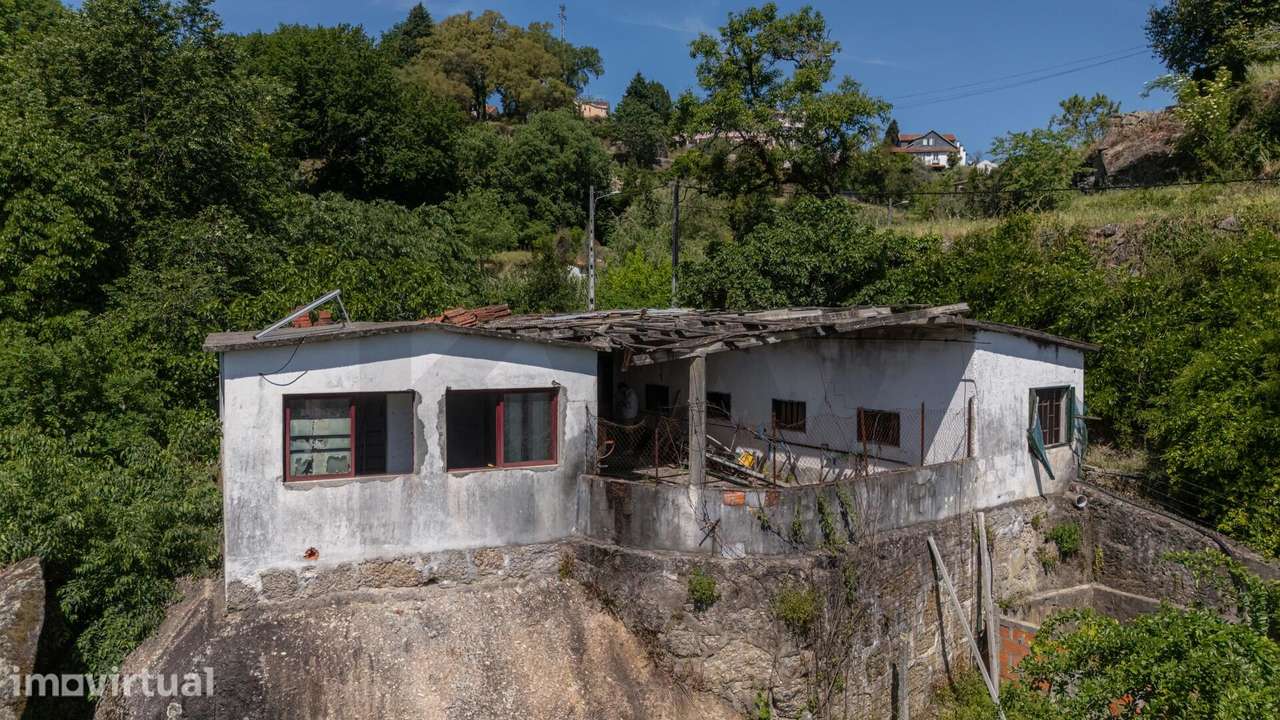 Imóvel Singular sobre Penedo – Santa Comba Dão - Grande imagem: 5/31
