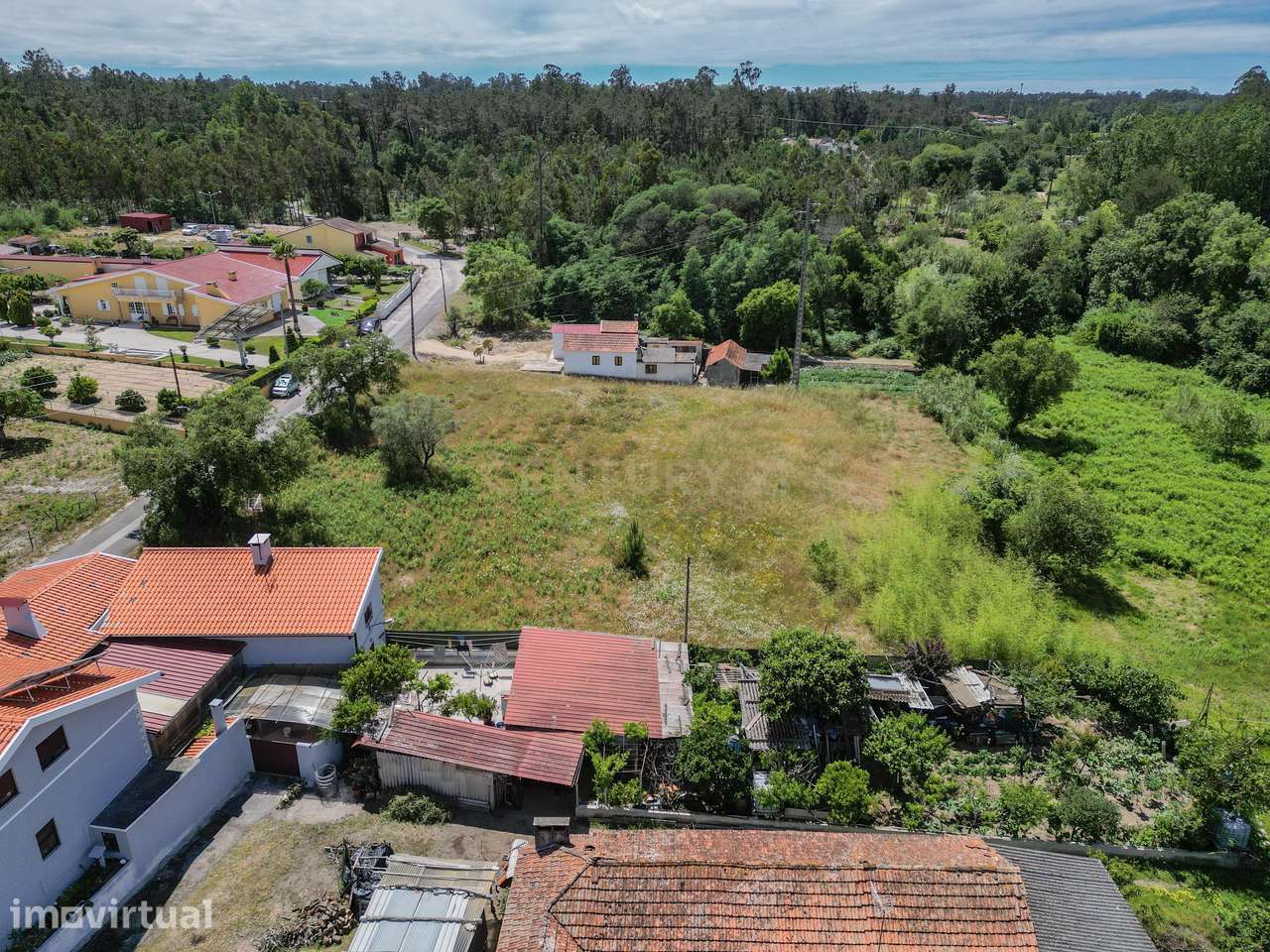 Terreno Rústico em Coimbra - Oportunidade Única por 50.000€ - Grande imagem: 5/25
