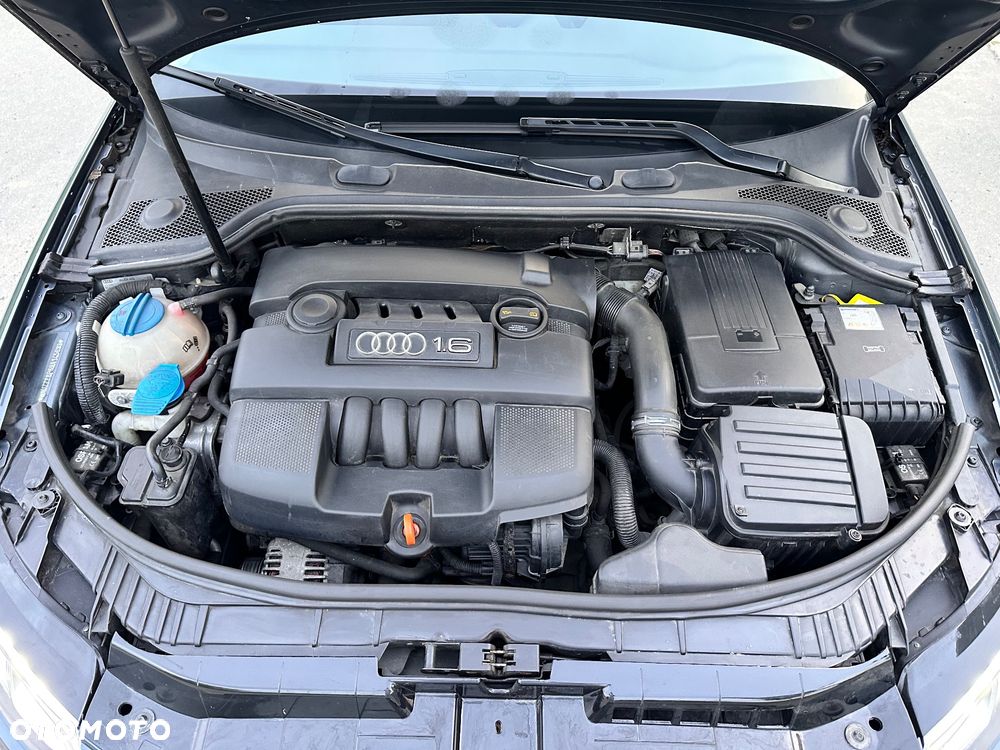 Audi A3 3-drzwiowe - 19