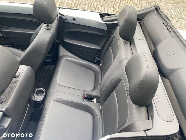 Volkswagen New Beetle - 38
