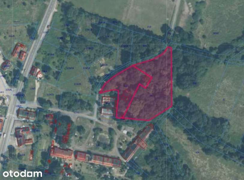 Wyjątkowa 1-ha działka z domem do renowacji, 10min od Legnicy i Lubina - Pełny obrazek: 3/8